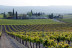 Visita Bodegas Pérez Barquero y Degustación de Cuatro Vinos para dos (Montilla, Córdoba)