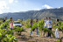 Visita a Viñedos en 4x4, Bodega, Cata de Vinos, Aperitivo y Comida para dos en Cellers Baronia del Montsant (Tarragona)