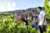 Visita a Viñedos en 4x4, Bodega, Cata de Vinos, Aperitivo y Comida para dos en Cellers Baronia del Montsant (Tarragona)