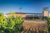 Visita y Degustación de Vinos en Bodegas Gordonzello con Aperitivo para dos (León)