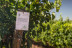 Visita y Degustación de Vinos en Bodegas Gordonzello con Aperitivo para dos (León)