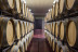 Visita y Degustación de Vinos en Bodegas Gordonzello con Aperitivo para dos (León)