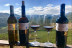 Visita a Bodega Ruiz Torres, Cata de 3 vinos y Obsequio para dos (Cáceres)