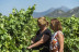 Visita a Bodega Ruiz Torres, Cata de 3 vinos y Obsequio para dos (Cáceres)