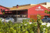 Visita al Celler Empordàlia con Degustación de Vinos y Aceites para dos (Girona)
