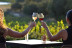 Visita a Celler Mas Geli con Degustación de Vinos y Productos Km0 para dos (Pals, Girona)