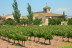 Visita al Celler Mas Foraster con Cata de Vinos y Circuito Spa para dos en SPALAS Hotel Gran Palas 5* (Tarragona)