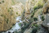 Visita Guiada al Caminito del Rey (Ardales, Málaga)