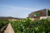 Visita a Bodega Mas Rodó y Cata de Vinos para dos en Sant Joan de Mediona (Barcelona)