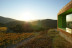 Visita a Bodega Mas Rodó y Cata de Vinos para dos en Sant Joan de Mediona (Barcelona)