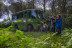 Visita Clásica al Parque Nacional de Doñana en Todoterreno (El Rocío, Huelva)