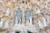 Visita Guiada a la Basílica de la Sagrada Familia (Barcelona)
