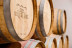 Experiencia Completa de Viticultura y Cata de Vinos para dos en Bodega Miquel J. Jané (Barcelona)
