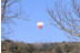 Escapada Relax con Bañera Hidromasaje en Posada Torre-Palacio de los Alvarado y Vuelo en Globo (Burgos)