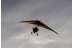 Vuelo en Trike (Sevilla)