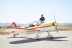 Vuelo acrobático en avión de acrobacias con Vídeo (Granada)