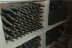 Vuelo en Globo con Fotos y Visita Guiada a la Bodega Baronia de Vilademuls con Cata de Vinos para dos (Girona)