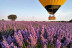 Vuelo en Globo con Fotos y Vídeo en Campos de Lavanda (Brihuega, Guadalajara)