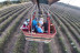 Vuelo en Globo con Fotos y Vídeo en Campos de Lavanda (Brihuega, Guadalajara)
