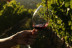 Vuelo en Globo con Desayuno, Cava y Vídeo y Visita a Bodega Huerto de la Condesa con Cata de Vinos para dos (Ronda, Málaga)