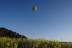 Vuelo en Globo con Fotos y Cava (Banyoles, Girona)