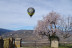 Vuelo en Globo con Fotos y Cava en Geoparc Orígens (Tremp, Lleida)
