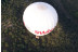 Vuelo en Globo para Parejas con Cava, Almuerzo, Fotos y Vídeo HD (Guadarrama, Madrid)