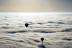 Vuelo en Globo Romántico para dos con Almuerzo y Cava (Plentzia, Vizcaya)