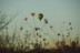 Vuelo en Globo con Desayuno y Cava (Sevilla / Huelva)