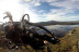 Especial Paramotor (Madrid)