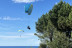 Vuelo en Parapente con Vídeo (Zarautz / Orio, Guipúzcoa)