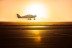 Vuelo Romántico en Avioneta al Atardecer con Cava y Bombones para dos (Barcelona)
