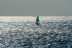 Bautismo de Windsurf (Santa Pola, Alicante)