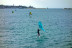 Experiencia en Wing Foil (Mallorca)