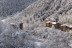 Escapada de 2 Noches con Desayuno en Hotel Xalet Besolí 3* (Arinsal, Andorra)