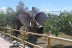Entrada a Zoo Safari Fauna Aventura (Hinojosa de San Vicente, Toledo)
