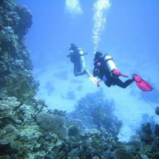 Curso de Buceo Open Water Diver (Tenerife)