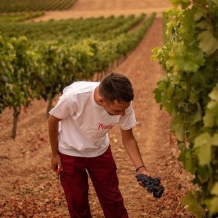 Circuito Termal en AZZ Peñafiel Las Claras Hotel & Spa 4* y  Visita a Bodegas Protos con Cata de 3 Vinos y Aperitivo para dos (Peñafiel, Valladolid)