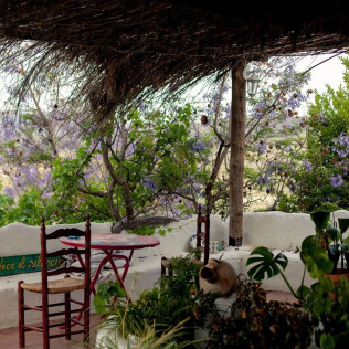 Escapada con Desayuno en Casa Rural Aloe Vera y Visita Guiada a OleoAlmanzora con Desayuno o Merienda para dos (Almería)