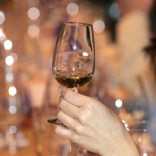Curso Aprende de Vinos en Popy Wine (Madrid)