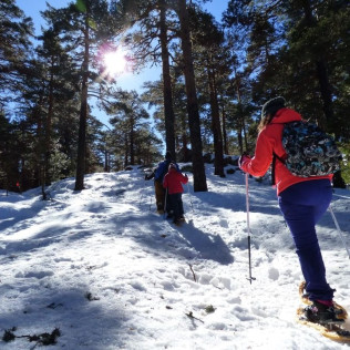 Excursión en Raquetas de Nieve (Navacerrada, Madrid)