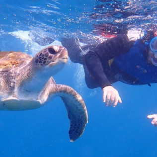 Kayak y Snorkel (Tenerife)