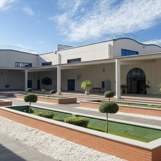 Oleopack Picualia: Visita Guiada por la Almazara y Cata de AOVE (Bailén, Jaén)