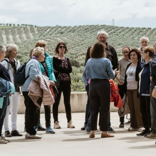Picualia Oleoturismo: Visita Guiada por una Almazara del siglo XXI para dos (Bailén, Jaén)