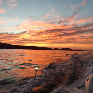 Amanecer en Barco con Fotos y Vídeos (La Caleta de Adeje, Tenerife)