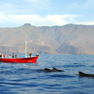 Excursión en Barco con Avistamiento de Cetáceos (La Gomera)