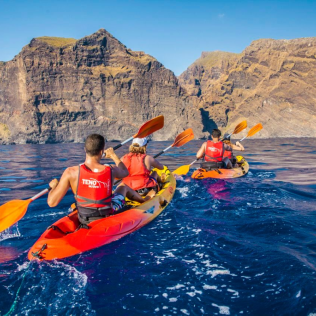 Paseo en Barco, Avistamiento de Cetáceos y Kayak (Los Gigantes, Tenerife)