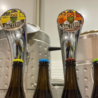 Cata de cerveza ¡Aprende a diferenciar sabores y texturas!