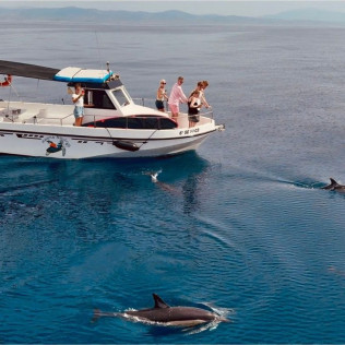 Salida en Barco Privado con Avistamiento de Delfines, Snorkel, Paddle SUP y Bebida Ilimitada para dos (Benalmádena, Málaga)