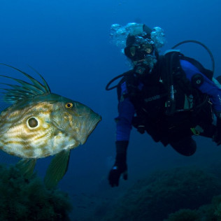 Bautismo de Buceo en Calvià (Mallorca)